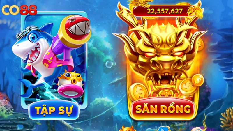Giới thiệu về bắn cá CO88