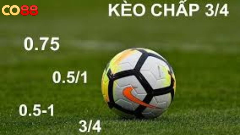 CO88 chia sẻ bí kíp chinh phục kèo chấp 3/4