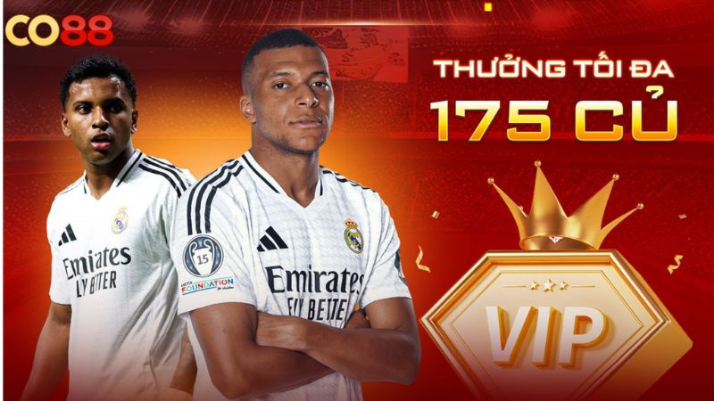 Lưu ý quan trọng khi đặt cược thể thao CO88