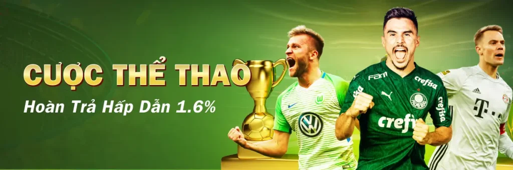 CO88 hoàn trả thể thao 1,6% không yêu cầu vòng cược